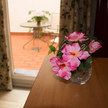 Apartment Acogedor Apartamento. Mezquita Wifi *